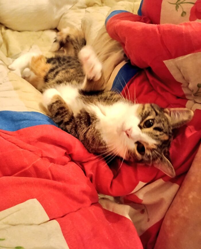 Доброй ночи и доброе утро, пятниццца