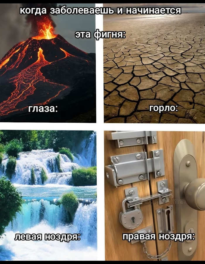 � ��������� ���������