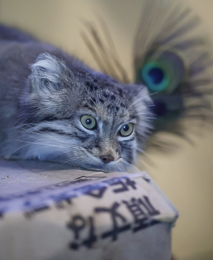 Неужели отработали