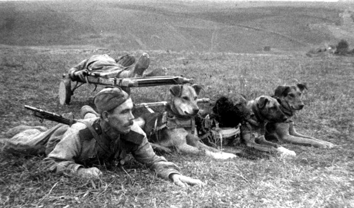 На фото гвардии ефрейтор Георгий Кондратьевич Борисов (1908 года рождения)