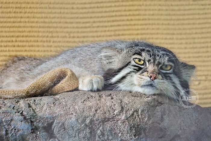 Что делать в выходные?