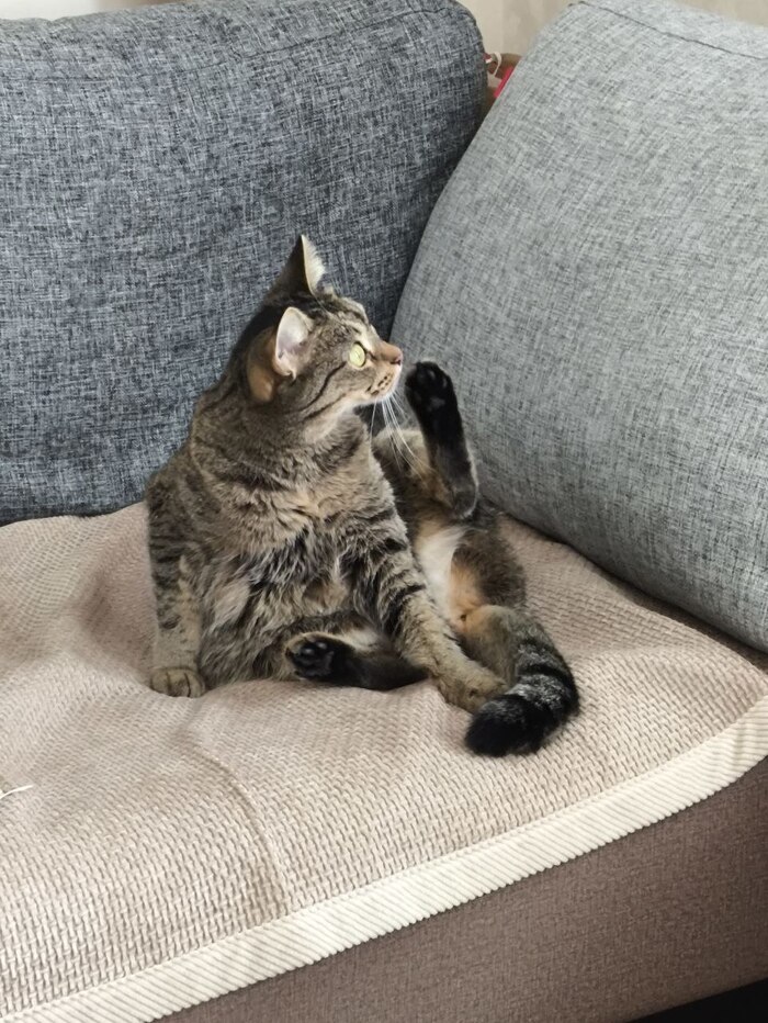  ,  