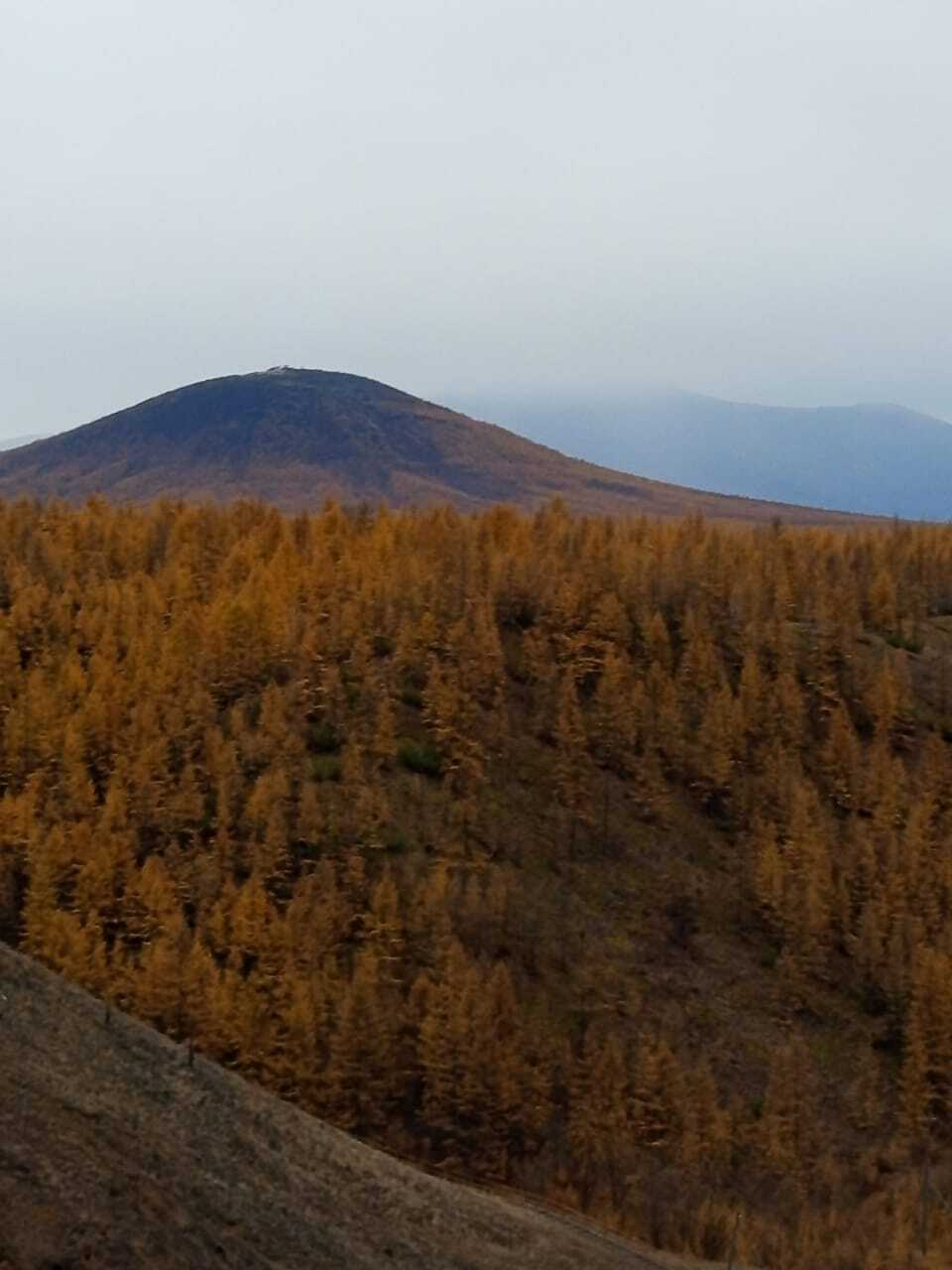 Reply to the post The fastest autumn is in Yakutia. The difference between the photos is 5 hours. - Winter, Autumn, Snow, Yakutia, Batagay, Polar Lights, Video, Vertical video, Short videos, Reply to post, Longpost