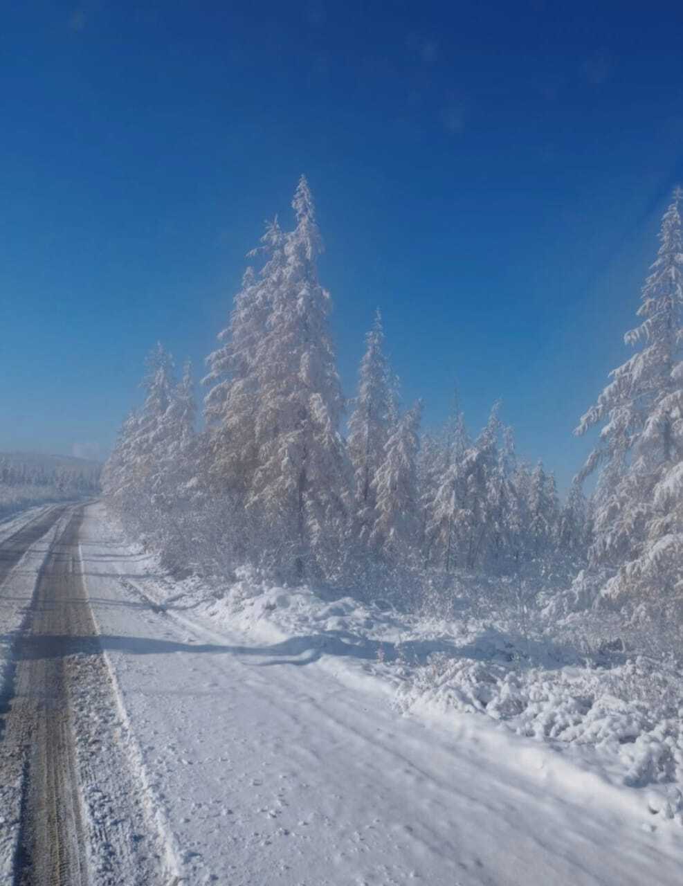 Reply to the post The fastest autumn is in Yakutia. The difference between the photos is 5 hours. - Winter, Autumn, Snow, Yakutia, Batagay, Polar Lights, Video, Vertical video, Short videos, Reply to post, Longpost