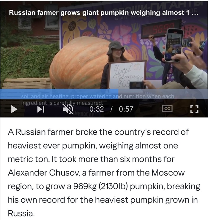 Ответ на пост «Не получилось. Тыква 969 кг»