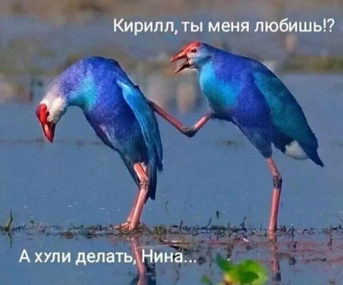 ,   !?
