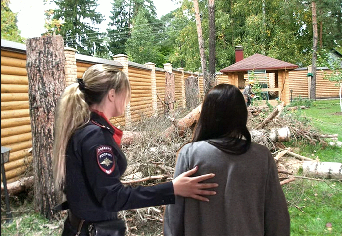 Посмотри что ты сделала! Девушке вынесли приговор за то, что она спилила собственные деревья на своем дачном участке