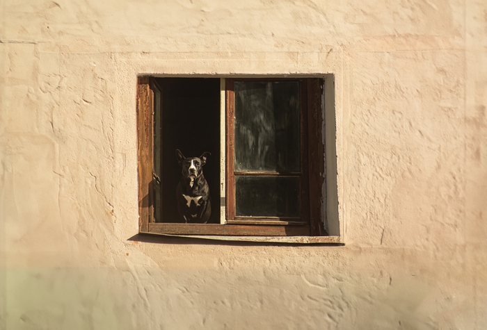 Тот самый сосед сверху, который кидает металлические шарики по ночам.