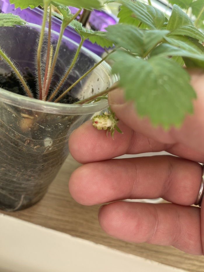 ��������� ����������, ��������� ���������� � ������, ���-�� �����, ��� �� ������ ����������, �� �� ��� ������ ���-�� ������� ���������. ������, ���� ���)) ������ ���� �� � ��������� � �������� ������ ��� ������� ���))