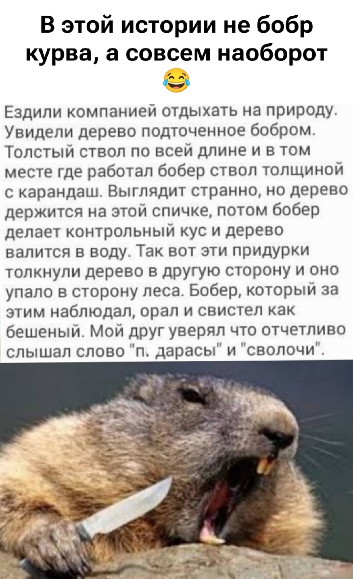 Понаехали тут