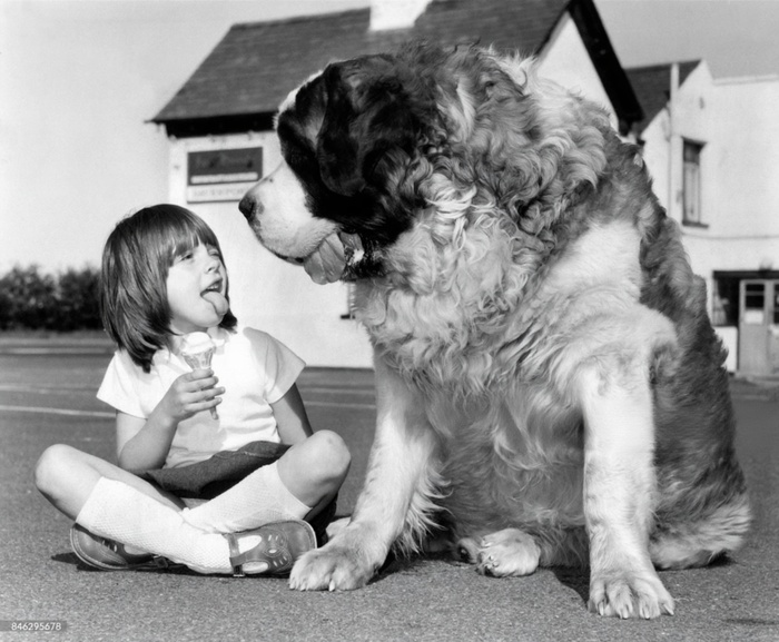  ,          ,   . 18  1980 .   .