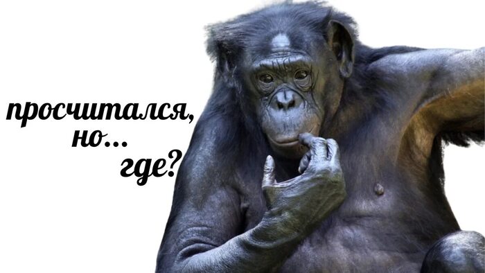 Вот какая дилема у меня