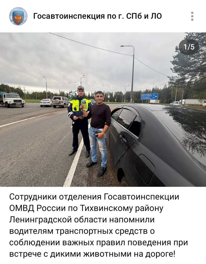 <!--noindex--><a href="https://pikabu.ru/story/kogda_kommentirovat__tolko_portit_13212985?u=https%3A%2F%2Fvk.com%2Fwall-101569986_40337&t=https%3A%2F%2Fvk.com%2Fwall-101569986_40337&h=2ea81ca222e79b15c09ccefc717bc99d07ead608" title="https://vk.com/wall-101569986_40337" target="_blank" rel="nofollow noopener">https://vk.com/wall-101569986_40337</a><!--/noindex-->