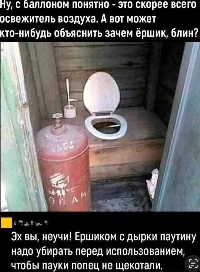 tm5ewgpj.webp