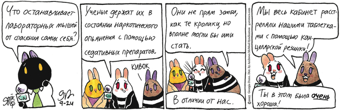 Котейкины Новости от 24.09.2025