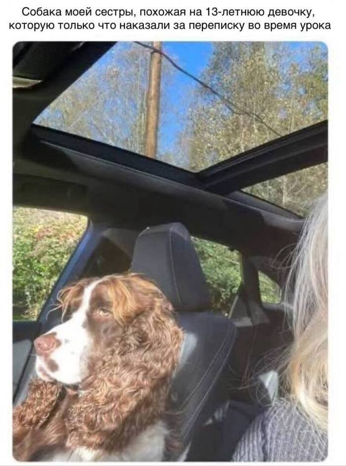 Ну расскажи, как ты подшутила над волшебником