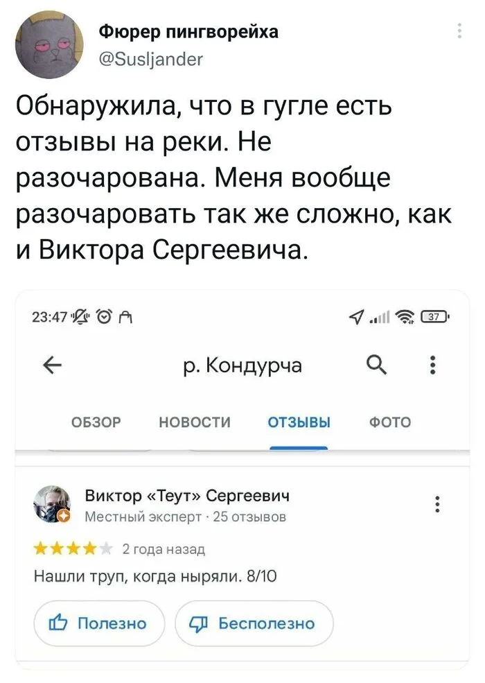 zezewzfh.webp