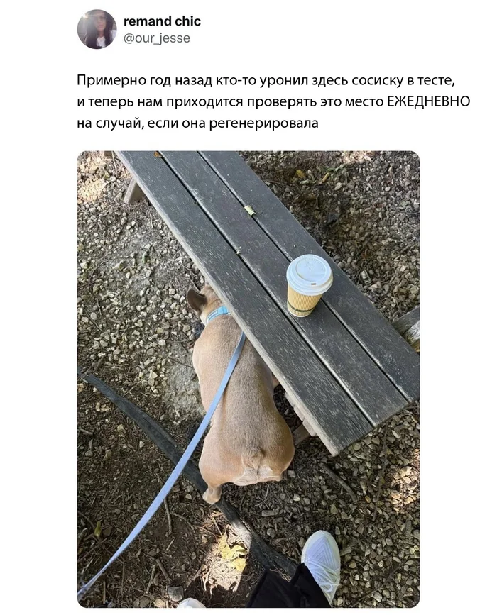 feruwubm.webp