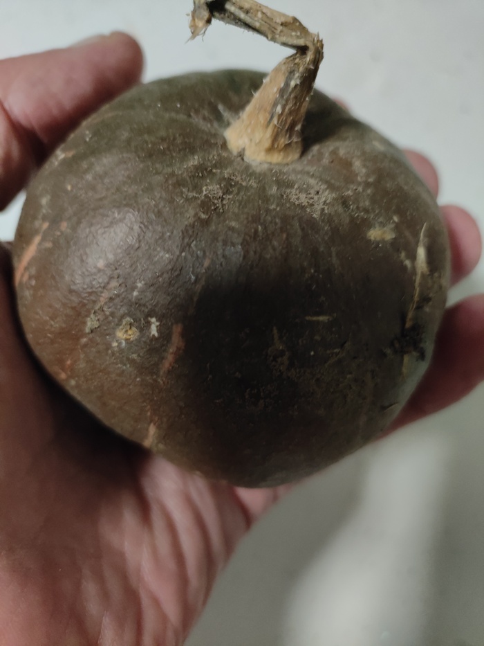 ��� ����� ��������� �����