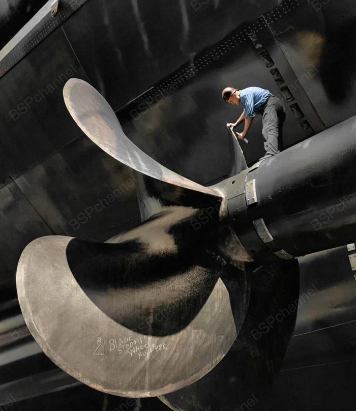 Фотограф: Альфред Эйзенштадт Фотограф: Альфред Эйзенштадт