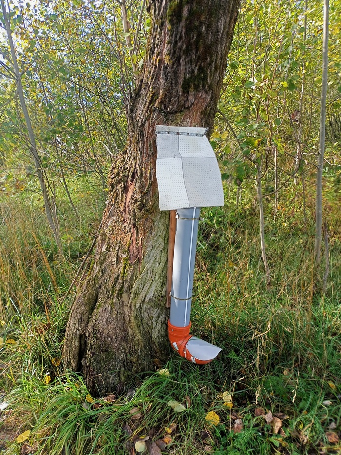 Чудеса дикой природы