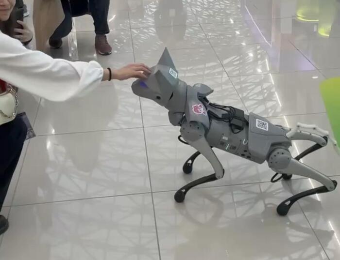 Его и готовят для боевых действий. Внутри будет ИИ, датчики тепла или движения, по которым эта 35КГ дура будет вести огонь с небольших ручных пулемётов. Если она так легко на видео тащит женщину весом 46кг на себе, что ей унести мелкий пулемёт.