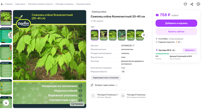 Интересно, борщевик они тоже продают?