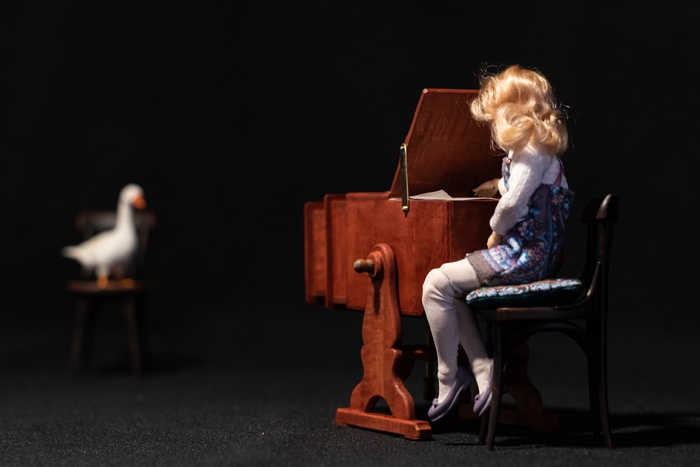 Камера обскура в масштабе 1:12