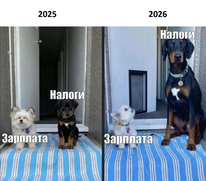 Как быстро они растут!