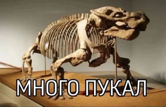 Всё выпукал