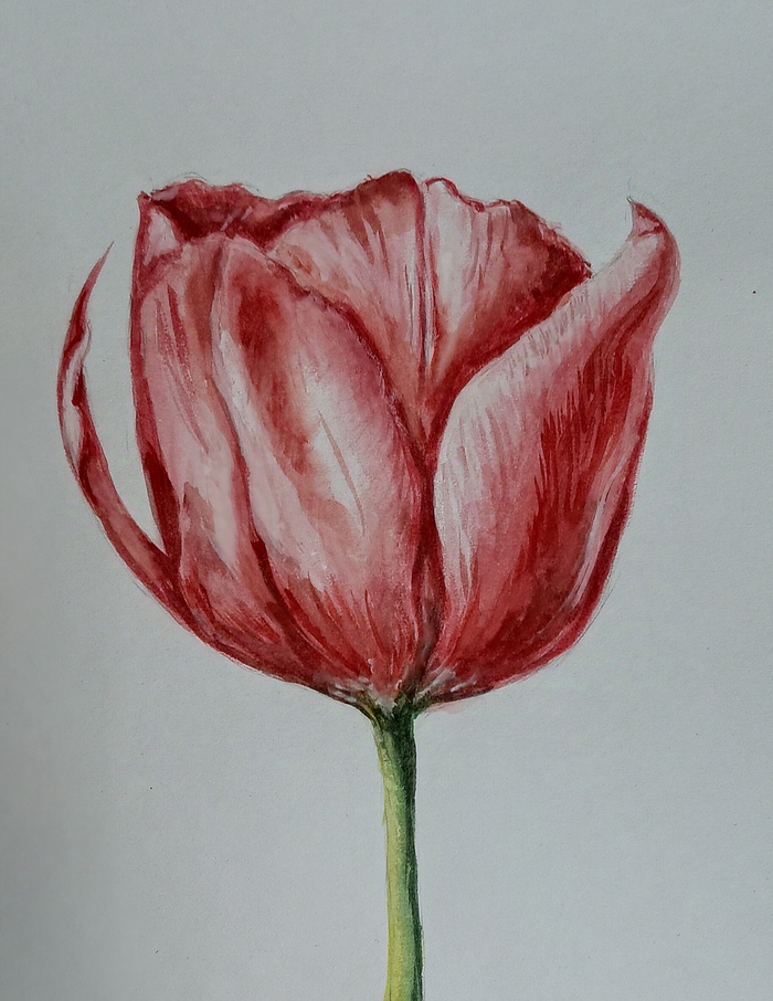 Рисую акварелью