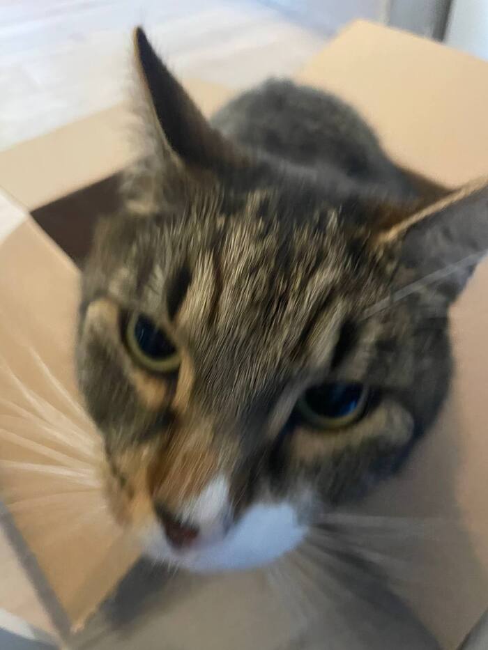 Любитель коробок доволен