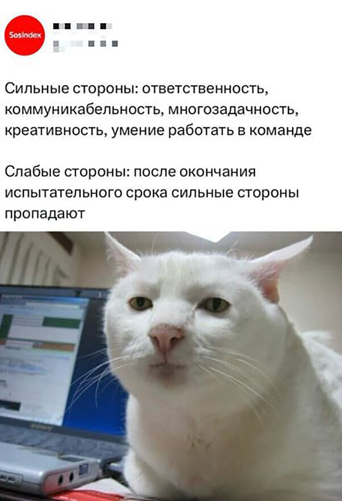 �� ������