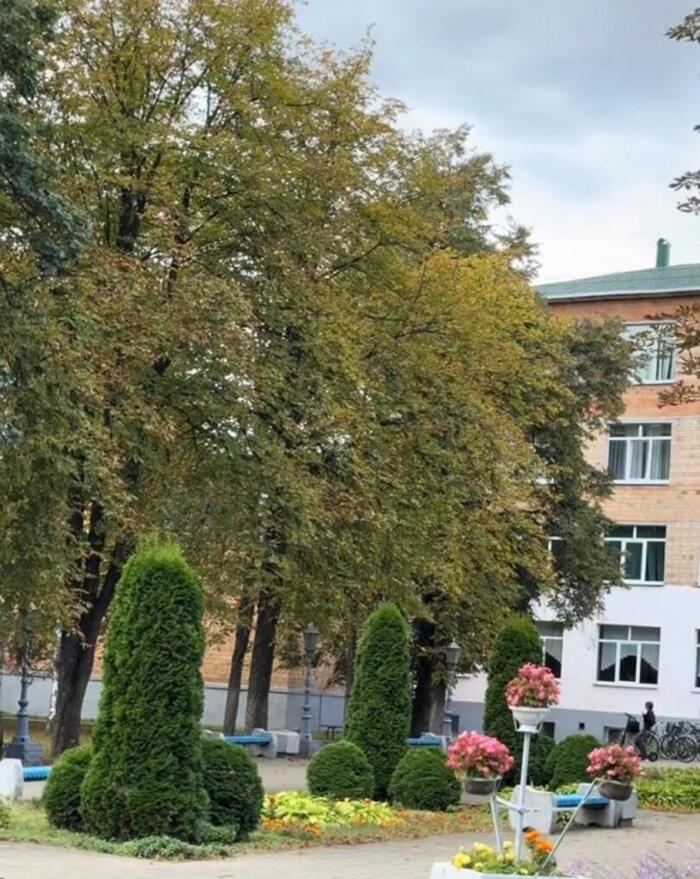 Минск нам рад или не рад?