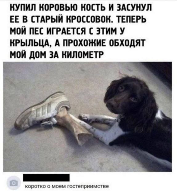 Гостеприимство