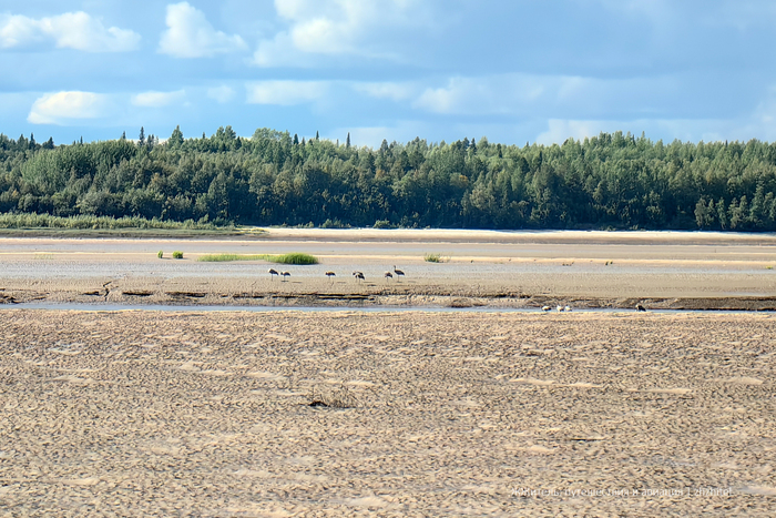 Тут я пожалел, что оставил телеобъектив в гостинице