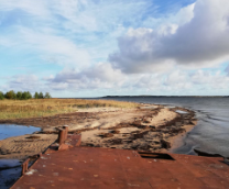 ������� �����