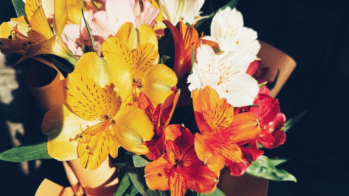 Фото #10. Цветы без повода