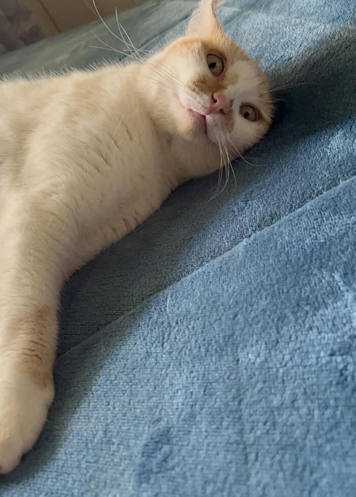 Опять завтра на работу...