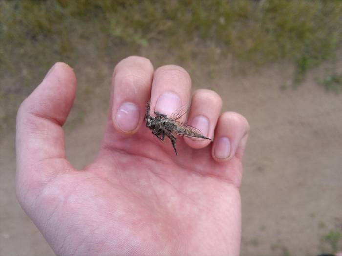 Эй, друг, у тебя отличная форма ногтевой пластины! Даже на маникюр ходить не надо!