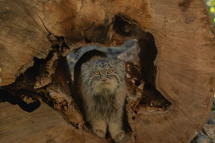 Доброго утречка!