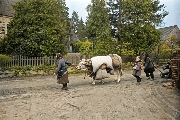 ��������: ��������� ��������