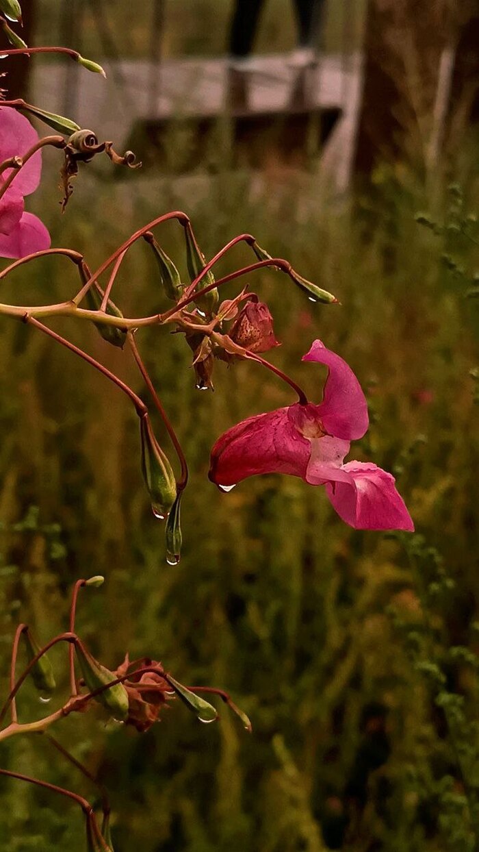 После дождя