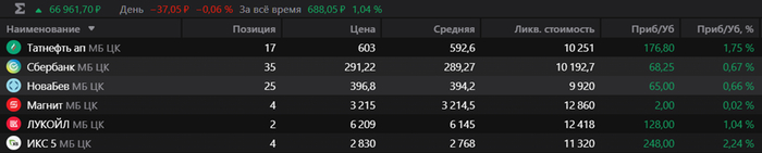 Публичный инвестиционный портфель