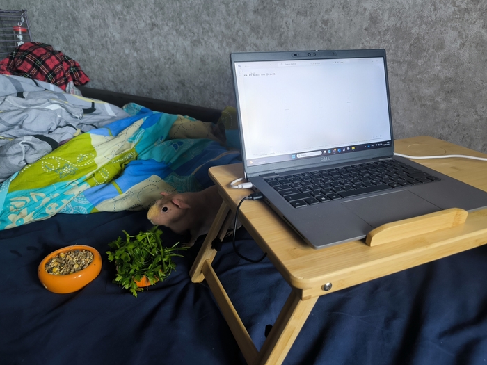 Продолжаем рабочую неделю на удалёнке