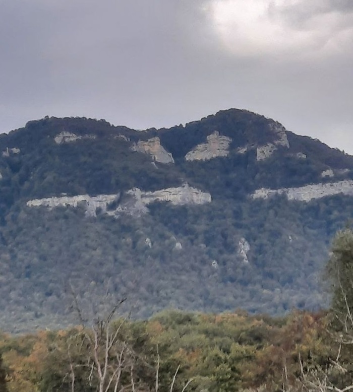 как нам показалось, а возможно это и действительно она -"Орлиная полка" Кто был, посмотрите внимательно, очень похоже на то.