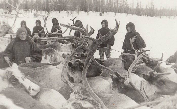   ()  ,   ,  .    ,     .      ,      .