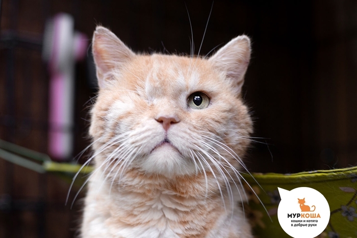  , 10 ,   . , .        - , .  ,                . 