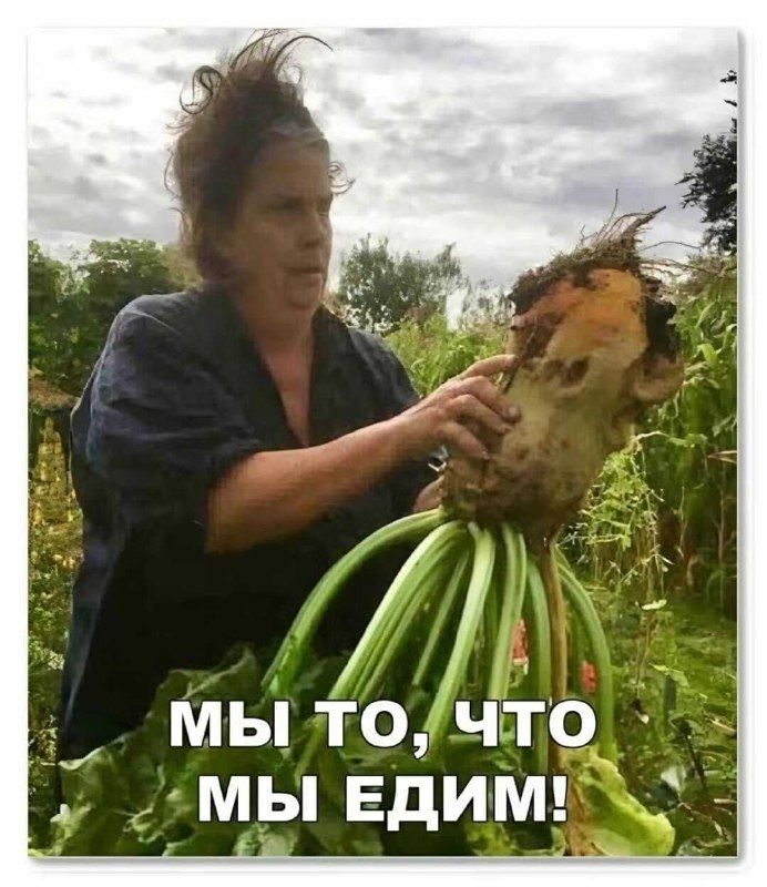 Минздрав предупреждает