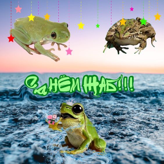 С Днём жаб, мои чуваки!